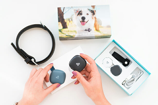 Findster Duo+ Review - Pet Tracker Reviews