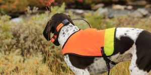 How Does A Pet GPS Tracker Work