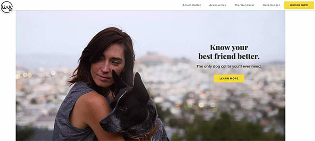 LINK AKC homepage