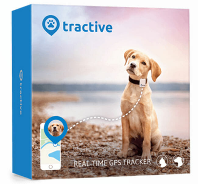 Invoxia Pet Tracker review: how to find your pet wherever it roams