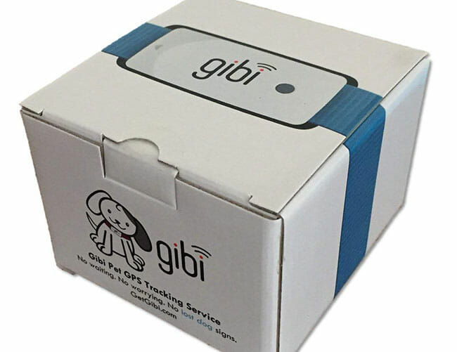 Gibi store dog tracker