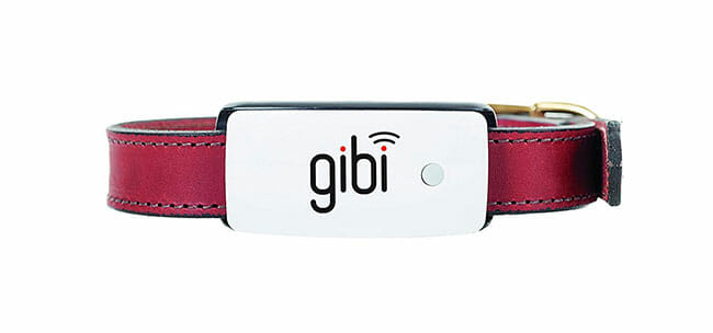 Gibi-2nd-Gen design