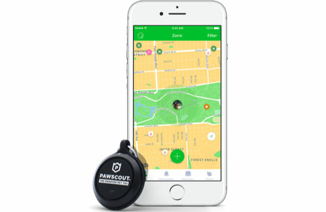 Pawscout app