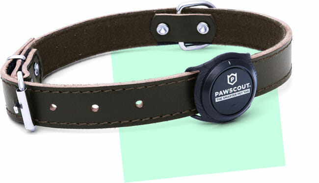 Pawscout design