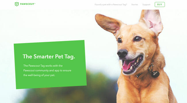 Pawscout homepage