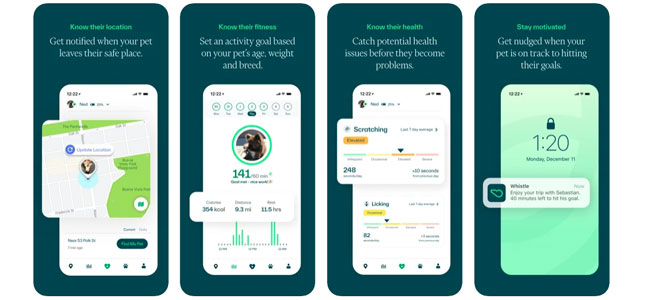 Whistle Pet Tracker App iPhone