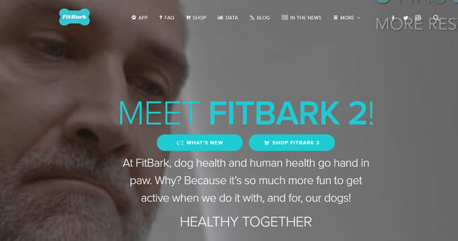FitBark-2 homepage printscreen