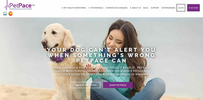 PetPace screenshot homepage