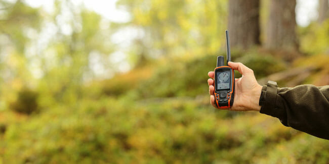 GPS pet tracker in the forest