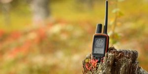 pet tracker on old wood