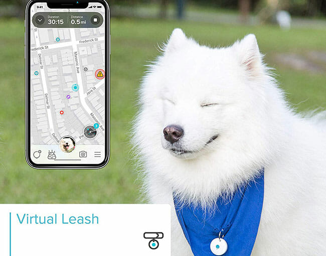 DOTT-Pet-Tracker virtual leash