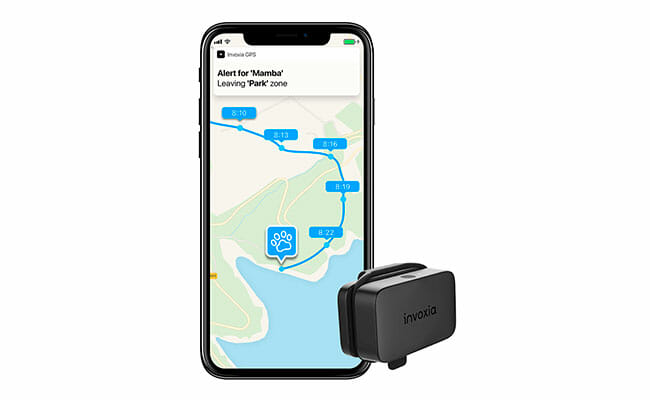 Invoxia GPS Tracker: Efficient Tracking Without SIM