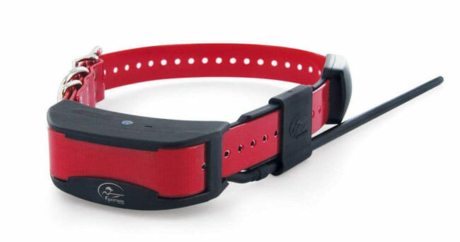 SportDOG TEK 2.0 just a collar on white background