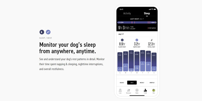 Fi Sleep Tracking for Dogs