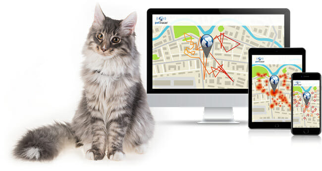 PetTracer cat and map tracker on smart device