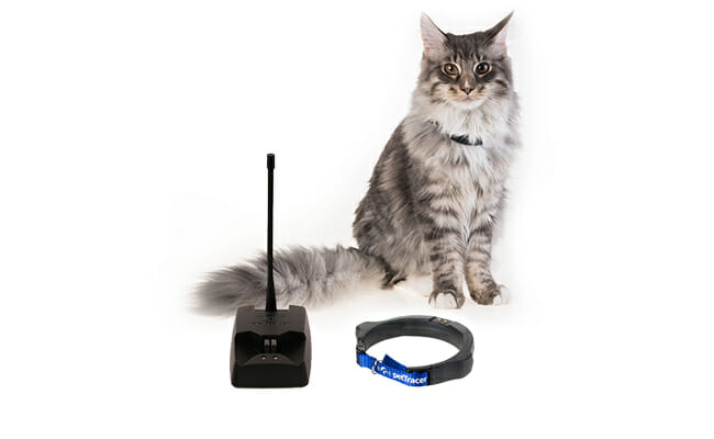 PetTracer design pet tracker and cat