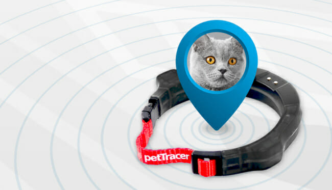 PetTracer for cat