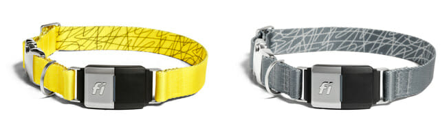 fi pet tracker yellow and grey