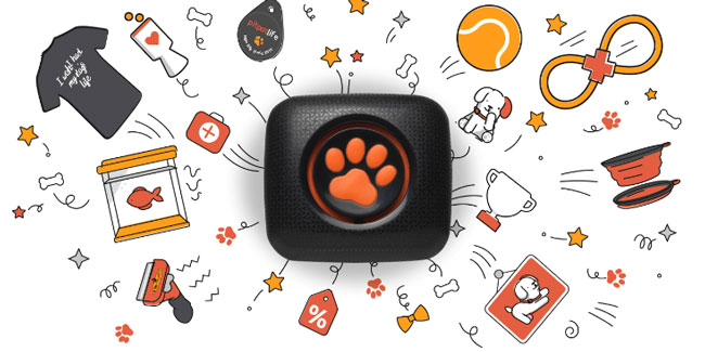 PitPat complete experience